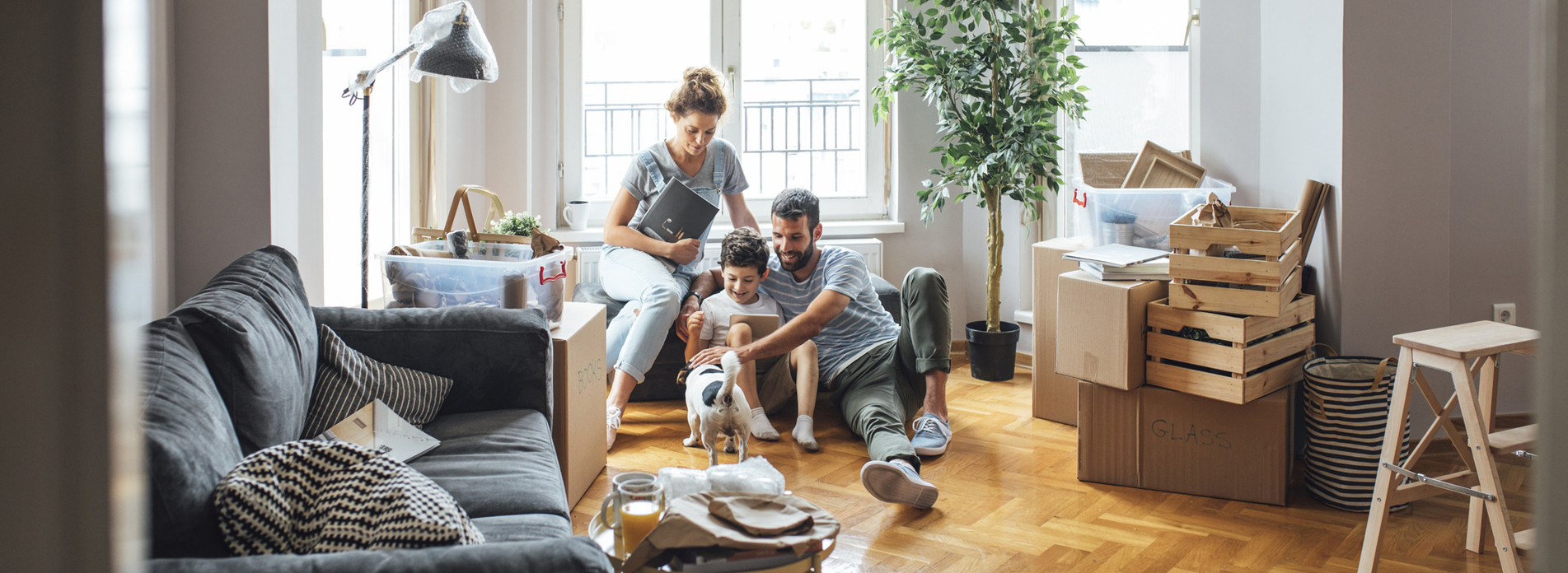 SERLY à Lyon, membre du réseau expert Vachette